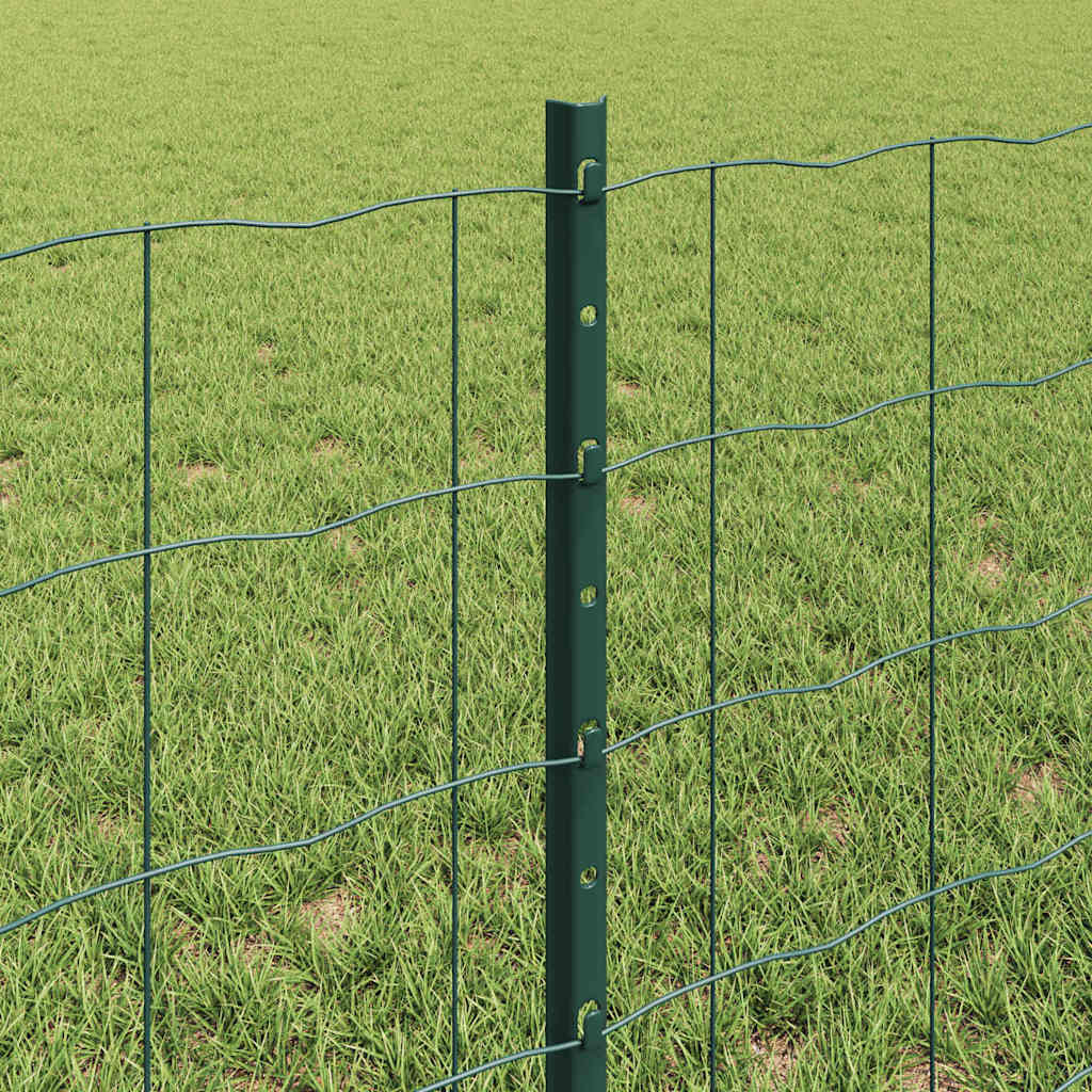 Eurohegn med stolpe 50 x 0,6 m PVC-belagt stål Grøn Mesh