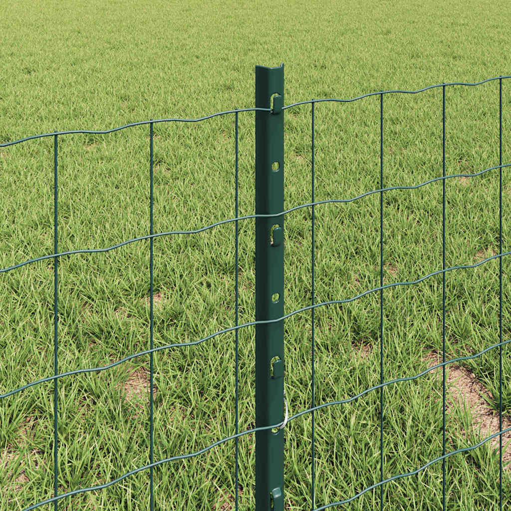 Eurohegn med stolpe 10 x 0,4 m PVC-belagt stål Grøn Mesh