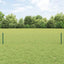Eurohegn med stolpe 10 x 0,4 m PVC-belagt stål Grøn Mesh
