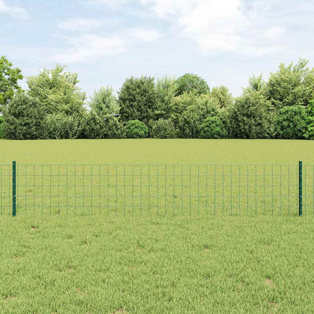 Eurohegn med stolpe 10 x 0,4 m PVC-belagt stål Grøn Mesh