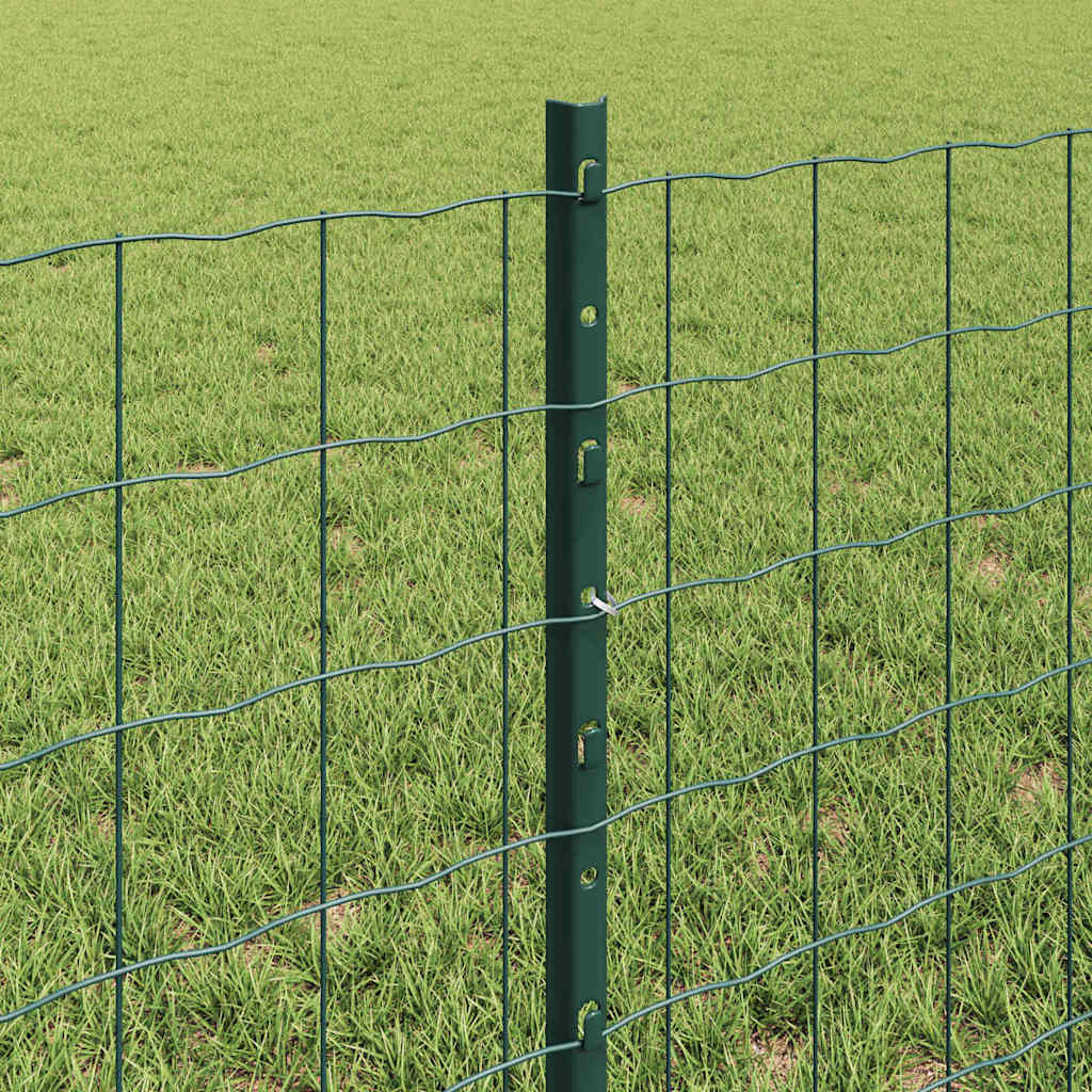 Eurohegn med stolpe 10 x 0,6 m PVC-belagt stål Grøn Mesh