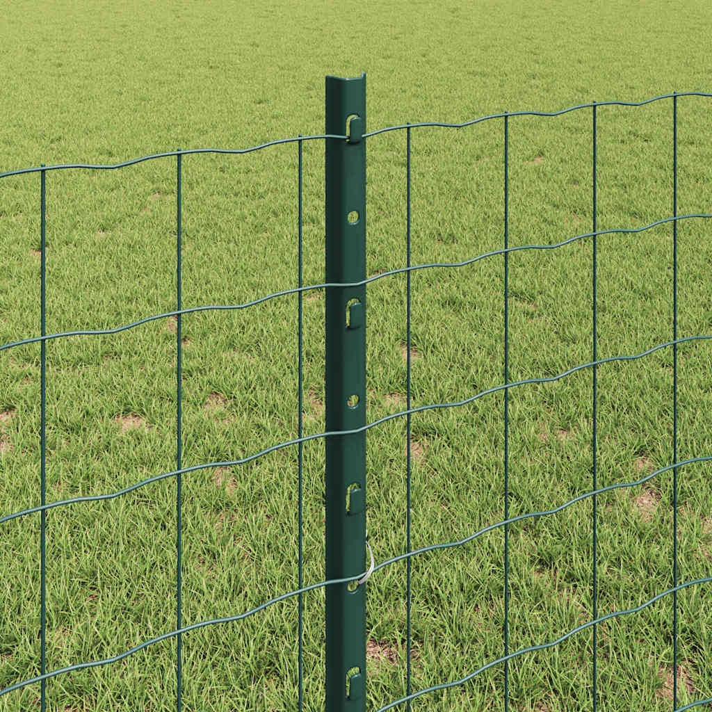 Eurohegn med stolpe 10 x 0,8 m PVC-belagt stål Grøn Mesh