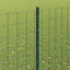 Eurohegn med stolpe 10 x 1,4 m PVC-belagt stål Grøn Mesh