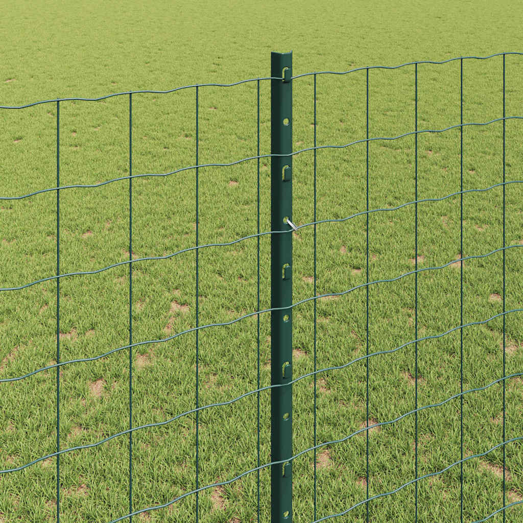 Eurohegn med stolpe 10 x 1,4 m PVC-belagt stål Grøn Mesh