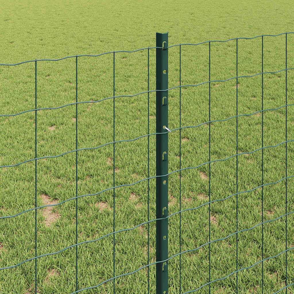 Eurohegn med stolpe 25 x 1 m PVC-belagt stål Grøn Mesh