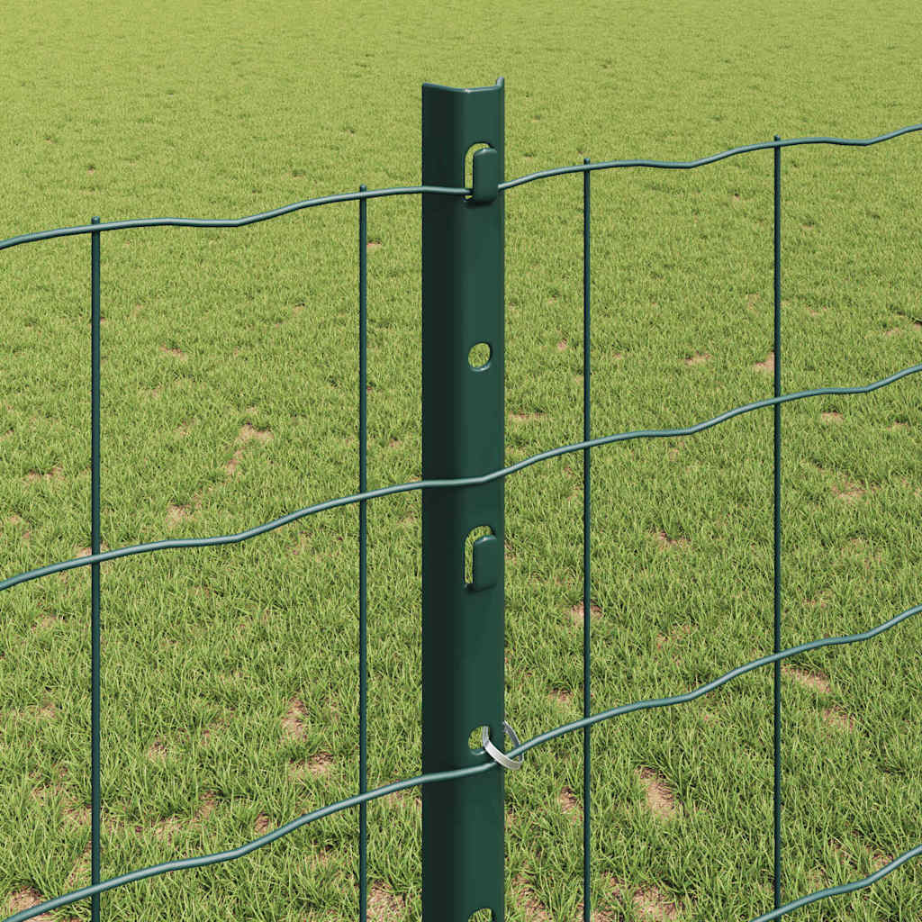 Eurohegn med stolpe 25 x 1,2 m PVC-belagt stål Grøn Mesh