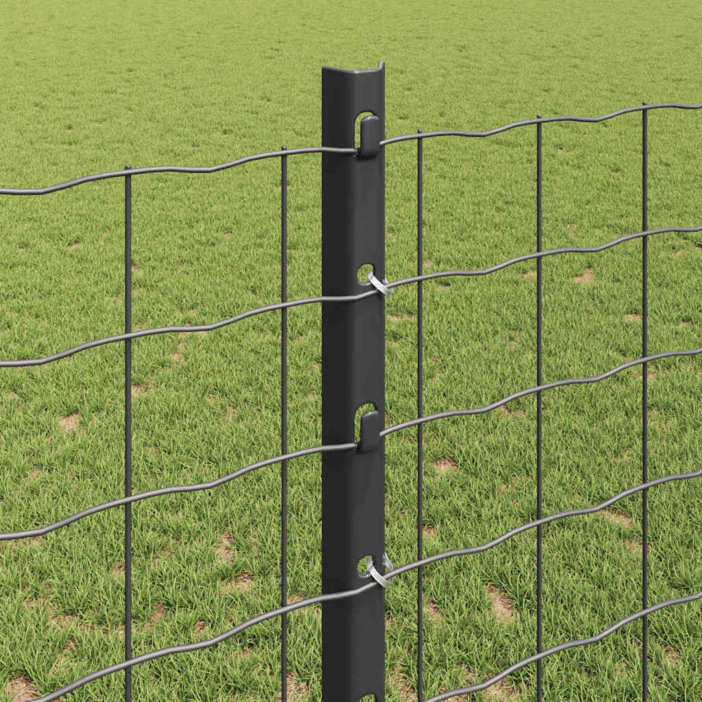 Eurohegn med stolpe 10 x 1,2 m PVC-belagt stål Grå Mesh