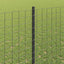 Eurohegn med stolpe 10 x 1,4 m PVC-belagt stål Grå Mesh