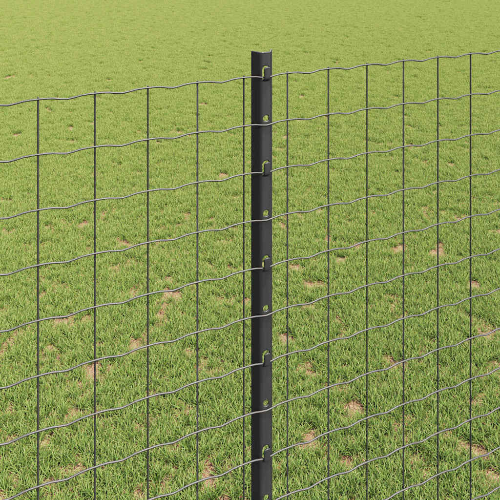 Eurohegn med stolpe 10 x 1,4 m PVC-belagt stål Grå Mesh