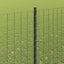 Eurohegn med stolpe 10 x 1,6 m PVC-belagt stål Grå Mesh