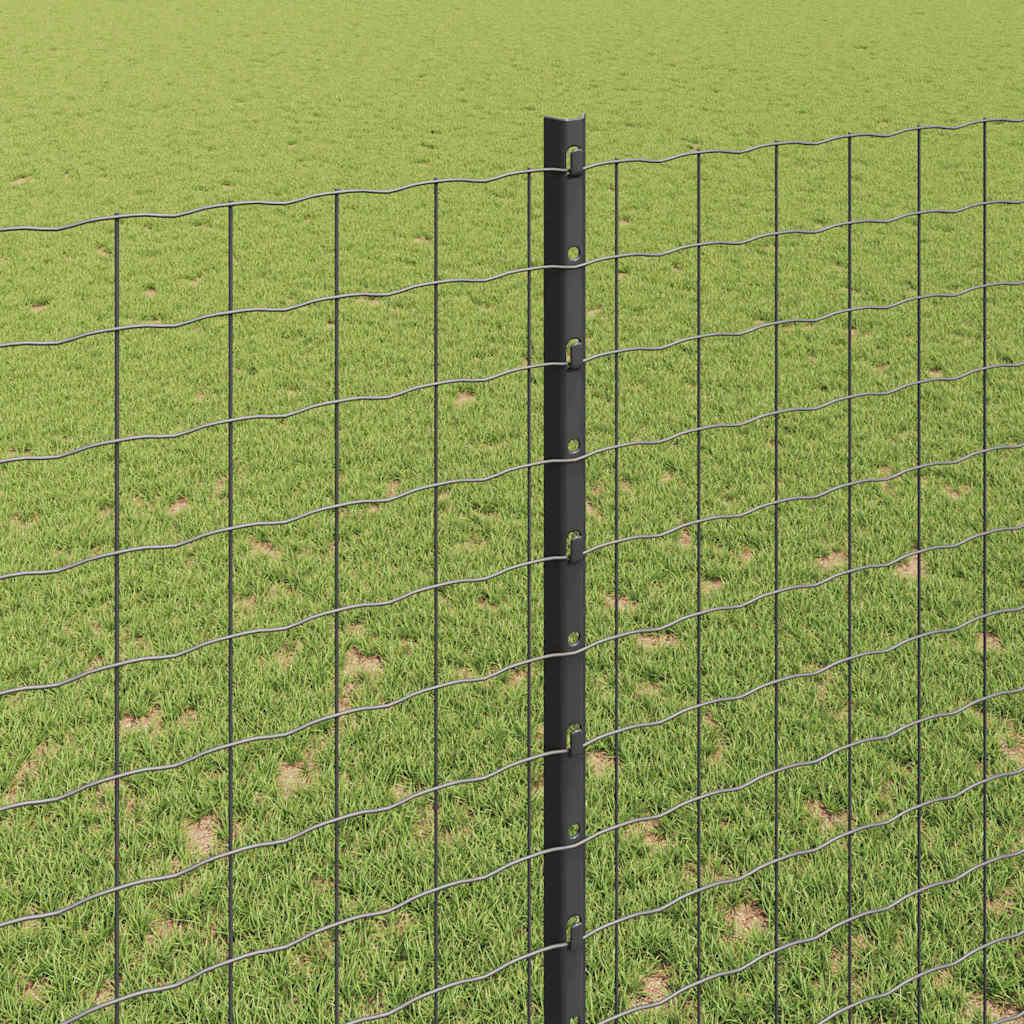 Eurohegn med stolpe 10 x 1,6 m PVC-belagt stål Grå Mesh