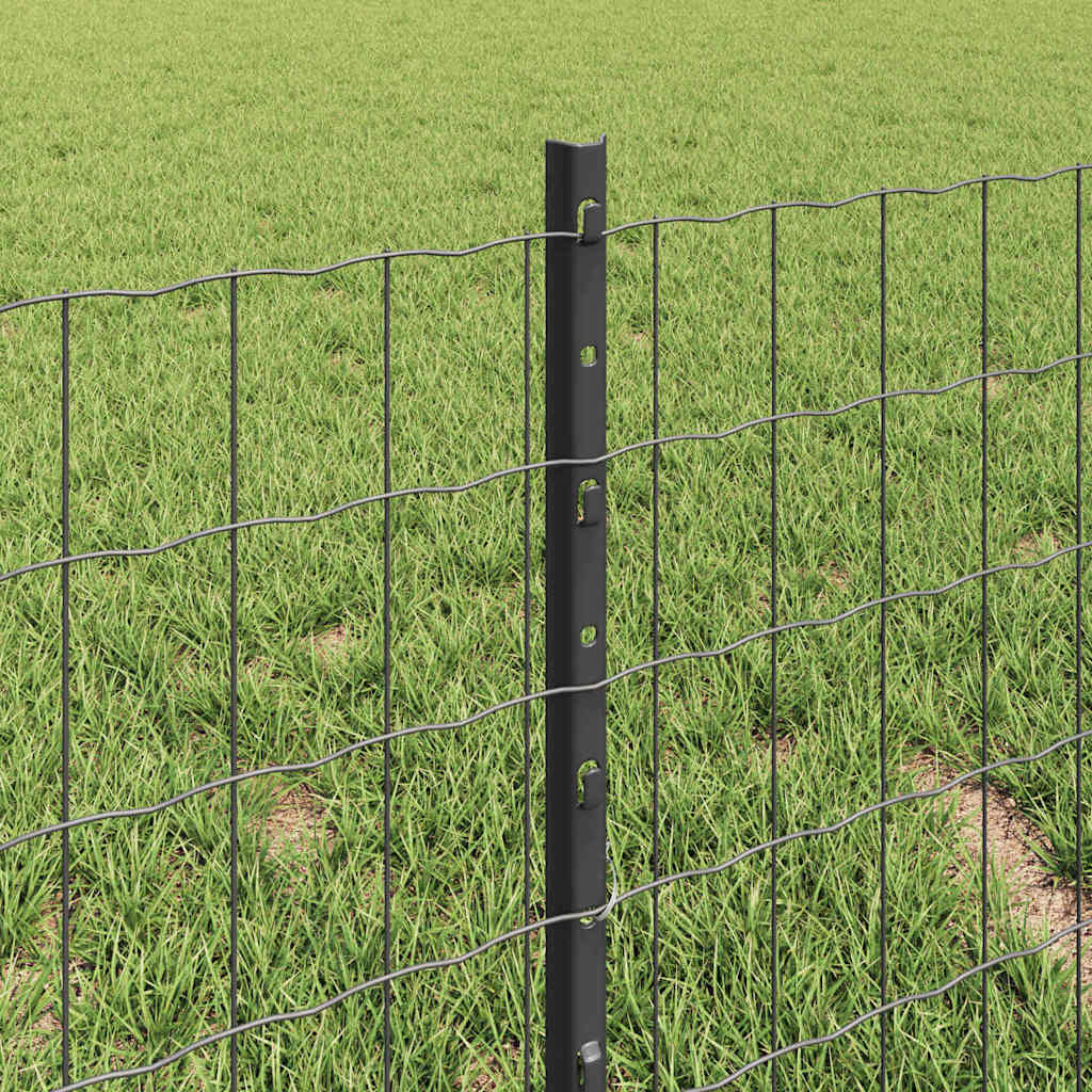 Eurohegn med stolpe 10 x 0,4 m PVC-belagt stål Grå Mesh