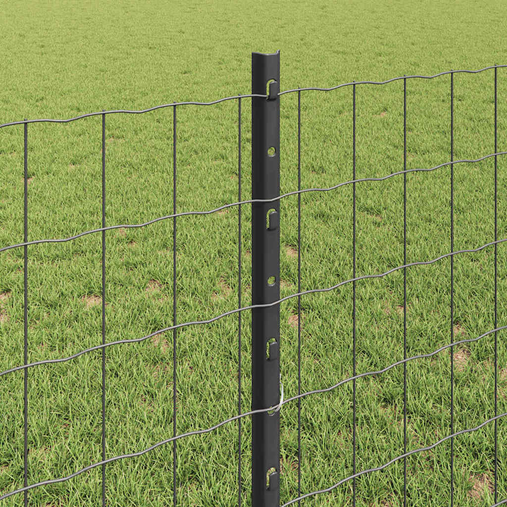 Eurohegn med stolpe 10 x 0,8 m PVC-belagt stål Grå Mesh