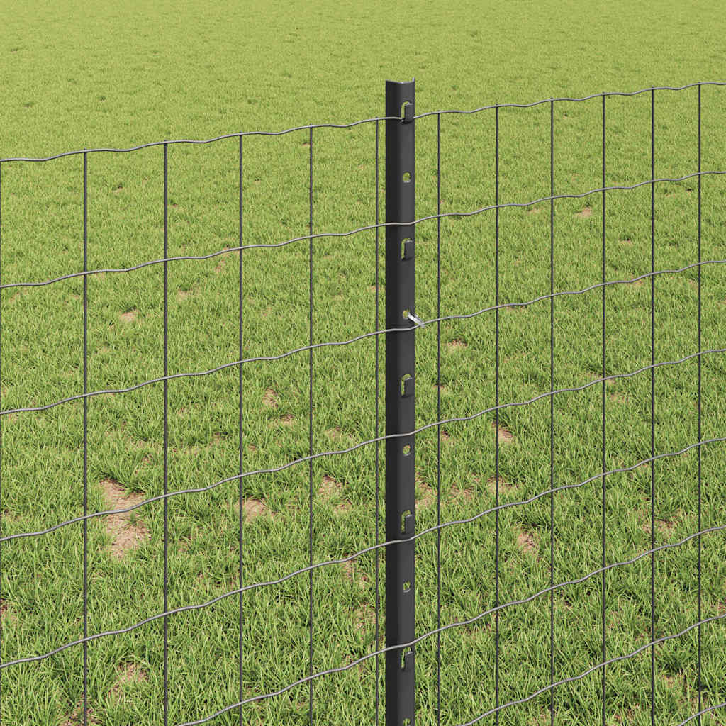 Eurohegn med stolpe 10 x 1 m PVC-belagt stål Grå Mesh