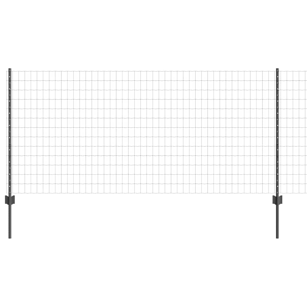 Eurohegn med stolpe 10 x 1 m PVC-belagt stål Grå Mesh
