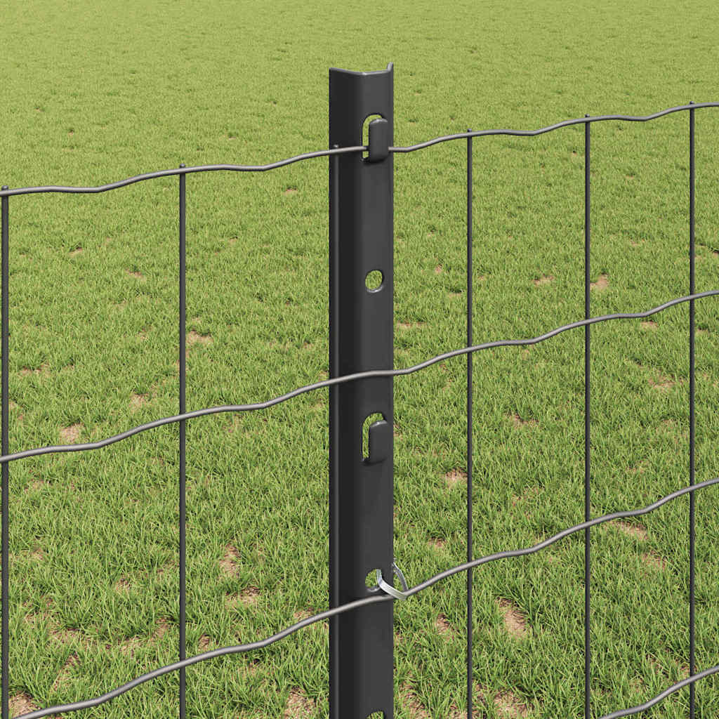 Eurohegn med stolpe 10 x 1,2 m PVC-belagt stål Grå Mesh