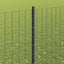 Eurohegn med stolpe 10 x 1,4 m PVC-belagt stål Grå Mesh