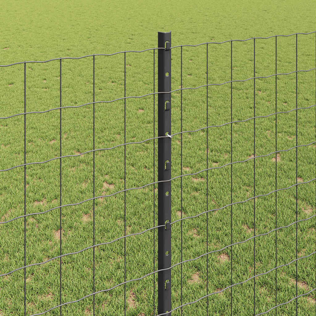 Eurohegn med stolpe 10 x 1,4 m PVC-belagt stål Grå Mesh