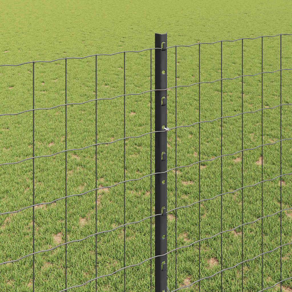 Eurohegn med stolpe 10 x 1,5 m PVC-belagt stål Grå Mesh