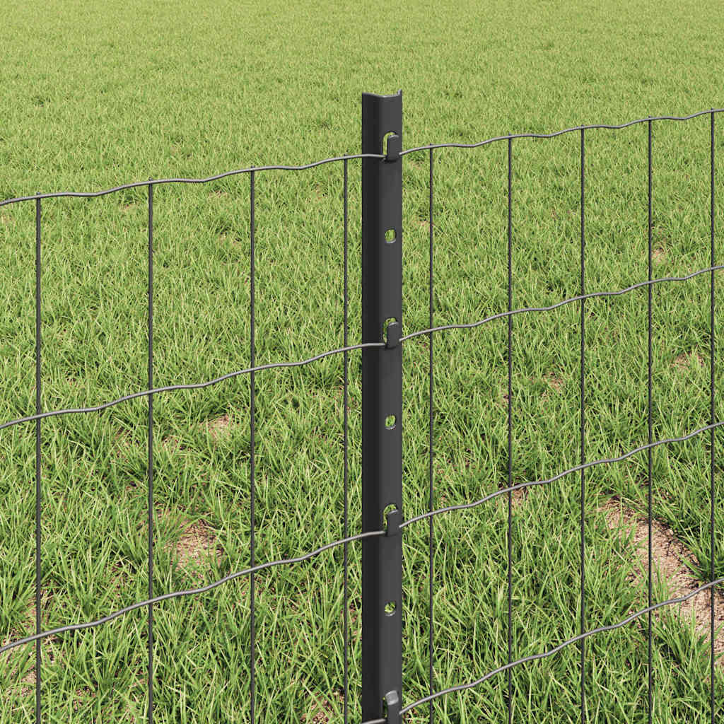 Eurohegn med stolpe 10 x 0,4 m PVC-belagt stål Grå Mesh