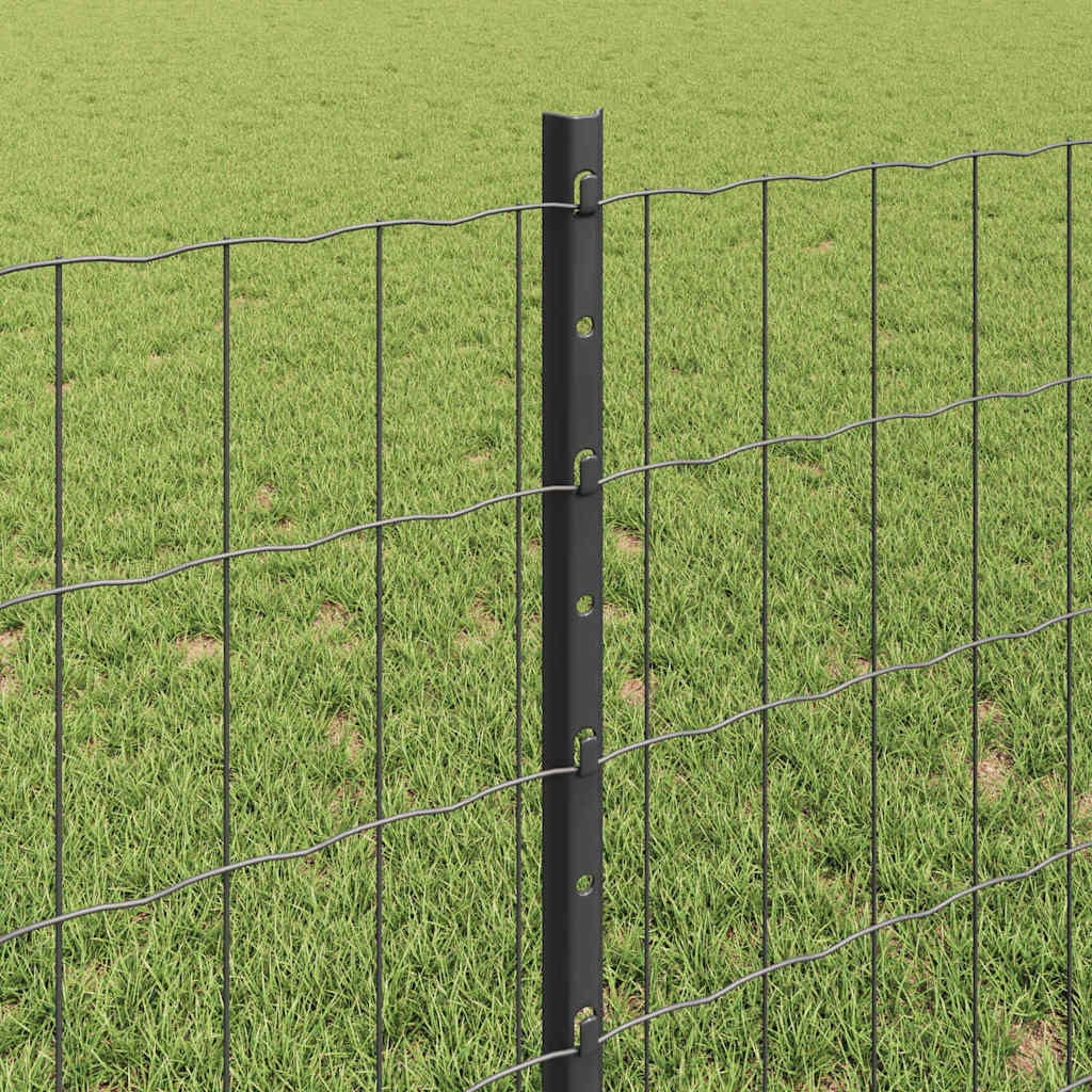 Eurohegn med stolpe 10 x 0,8 m PVC-belagt stål Grå Mesh