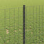 Eurohegn med stolpe 10 x 1 m PVC-belagt stål Grå Mesh