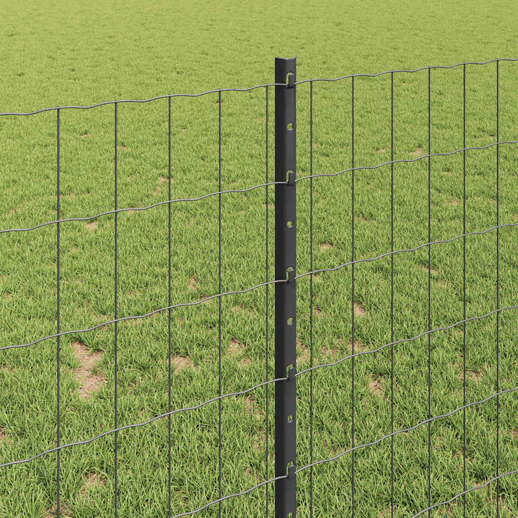 Eurohegn med stolpe 10 x 1 m PVC-belagt stål Grå Mesh