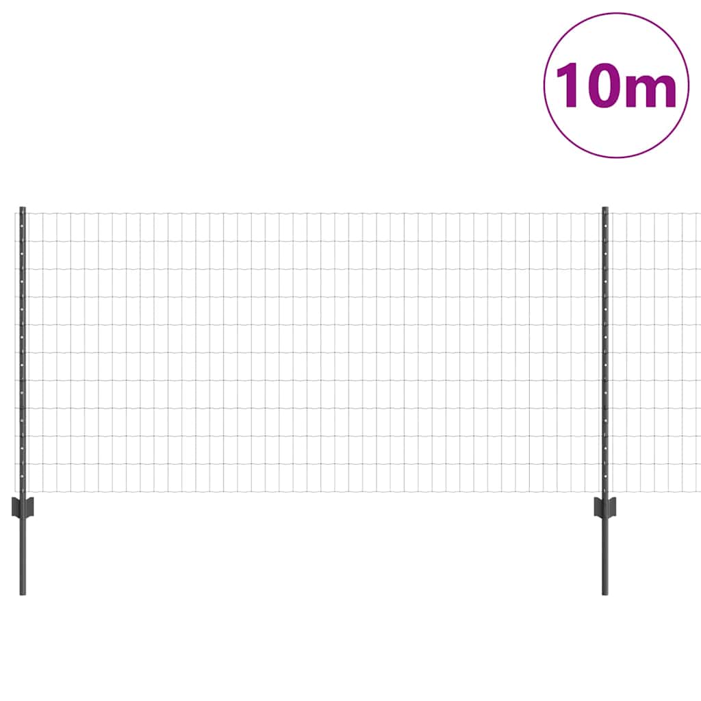 Eurohegn med stolpe 10 x 1 m PVC-belagt stål Grå Mesh