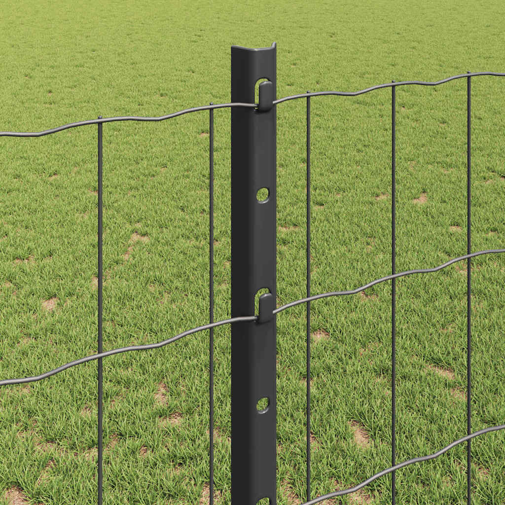 Eurohegn med stolpe 10 x 1,2 m PVC-belagt stål Grå Mesh
