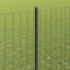 Eurohegn med stolpe 10 x 1,4 m PVC-belagt stål Grå Mesh