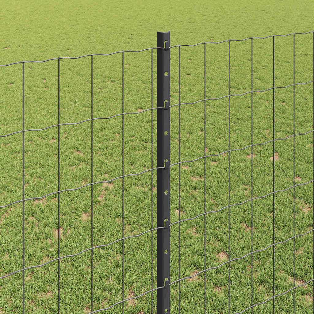 Eurohegn med stolpe 10 x 1,4 m PVC-belagt stål Grå Mesh