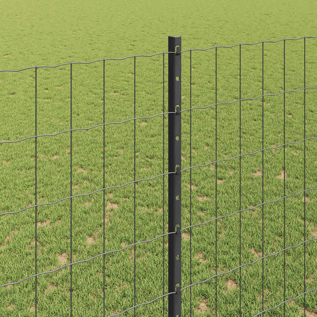 Eurohegn med stolpe 10 x 1,6 m PVC-belagt stål Grå Mesh