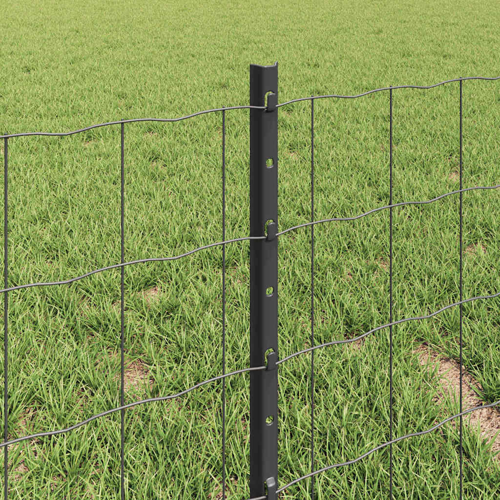 Eurohegn med stolpe 10 x 0,4 m PVC-belagt stål Grå Mesh