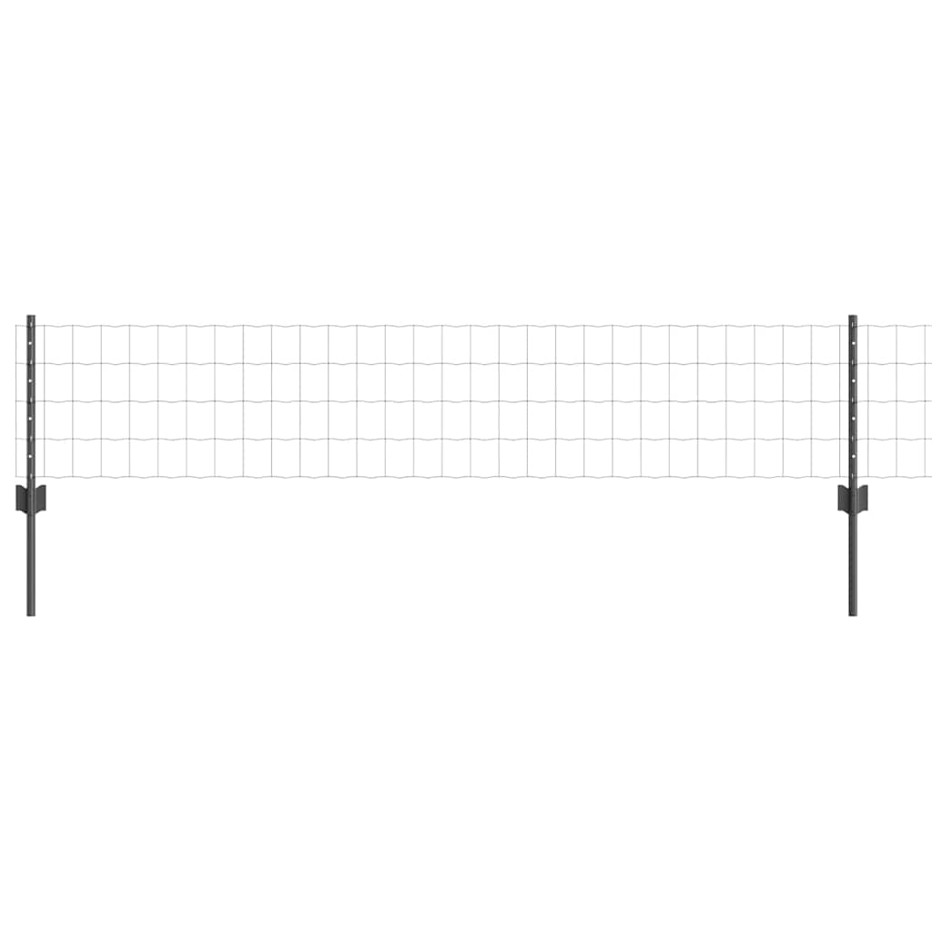 Eurohegn med stolpe 10 x 0,4 m PVC-belagt stål Grå Mesh