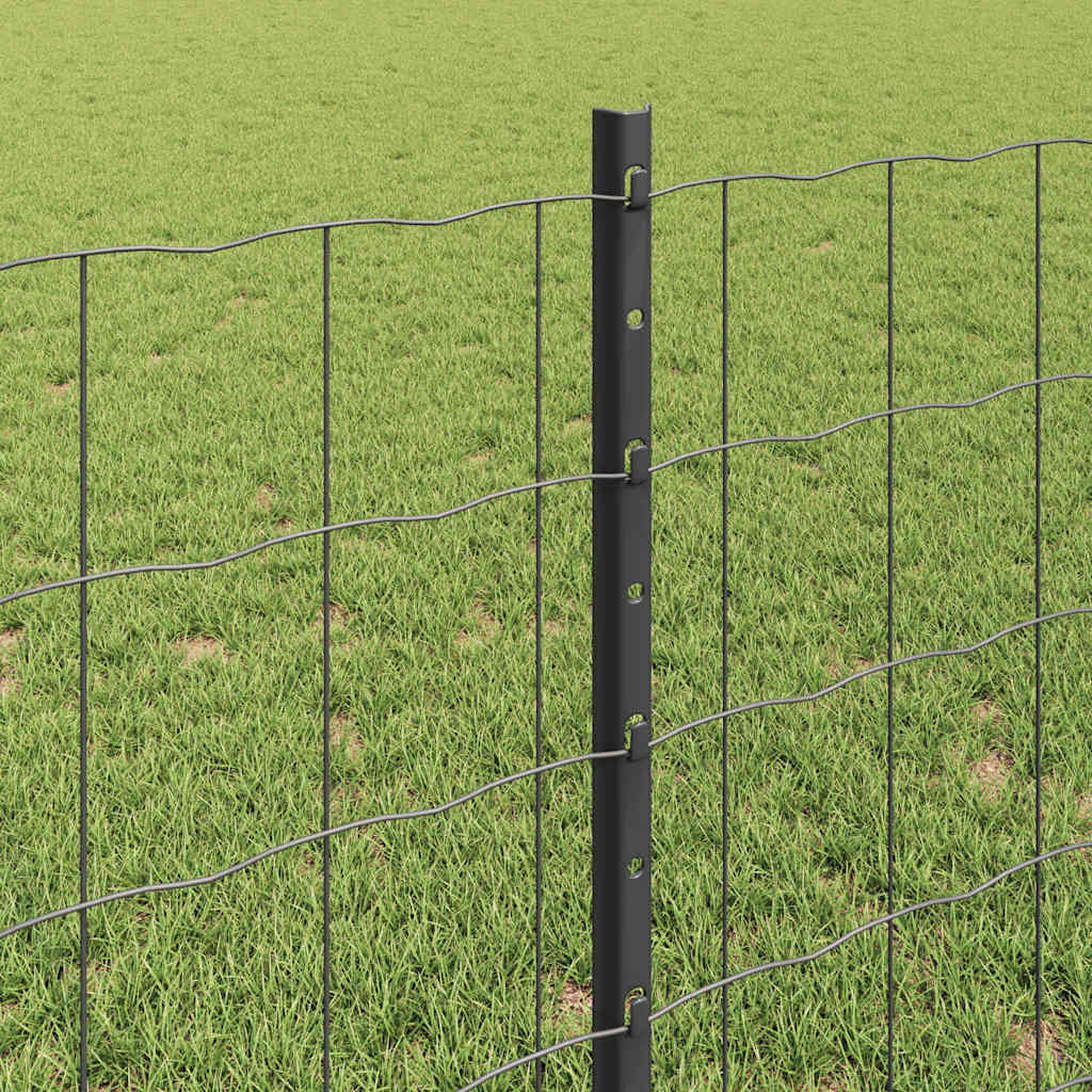 Eurohegn med stolpe 10 x 0,8 m PVC-belagt stål Grå Mesh