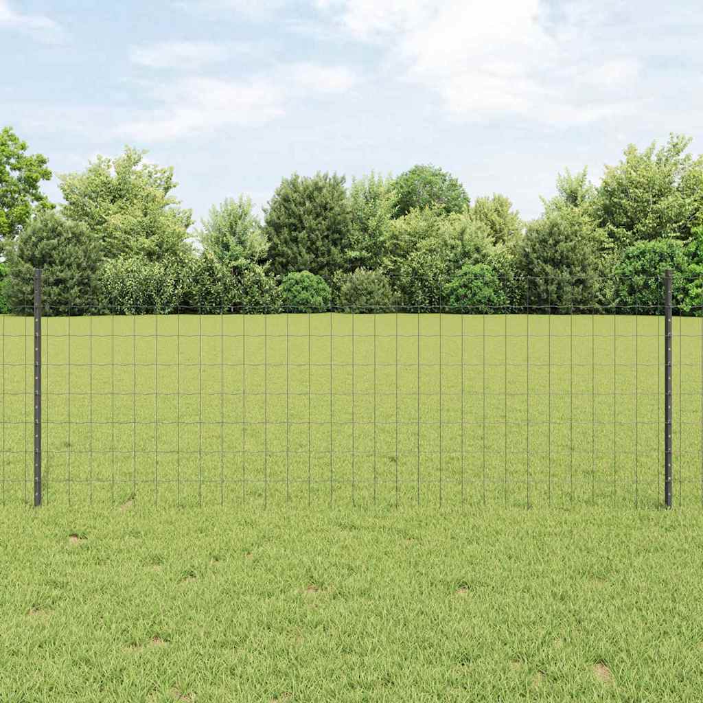 Eurohegn med stolpe 10 x 0,8 m PVC-belagt stål Grå Mesh