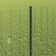 Eurohegn med stolpe 10 x 1 m PVC-belagt stål Grå Mesh