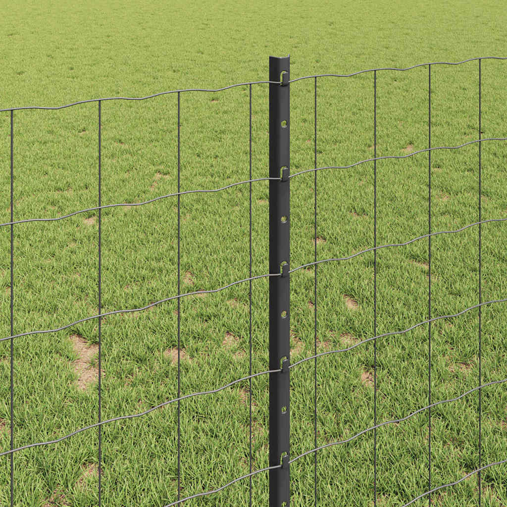 Eurohegn med stolpe 10 x 1 m PVC-belagt stål Grå Mesh