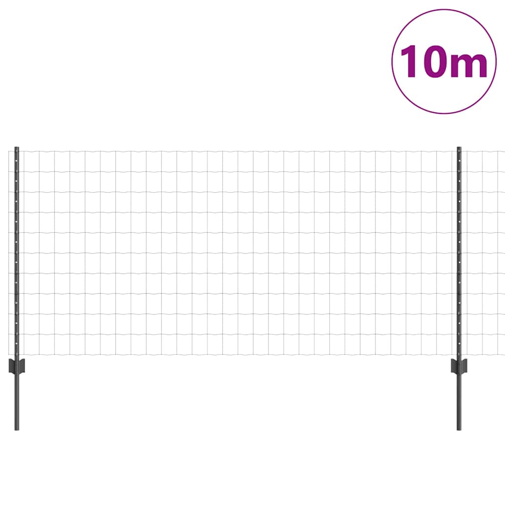 Eurohegn med stolpe 10 x 1 m PVC-belagt stål Grå Mesh