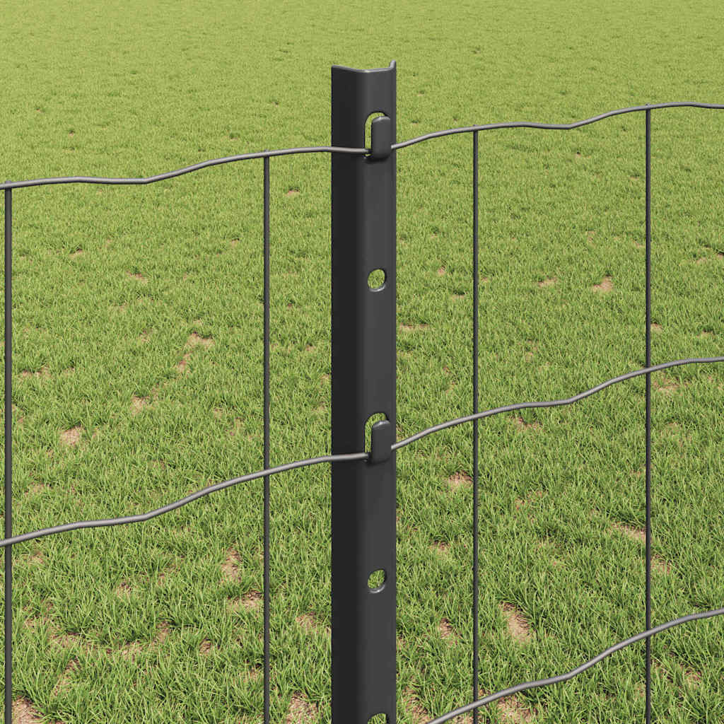 Eurohegn med stolpe 10 x 1,2 m PVC-belagt stål Grå Mesh