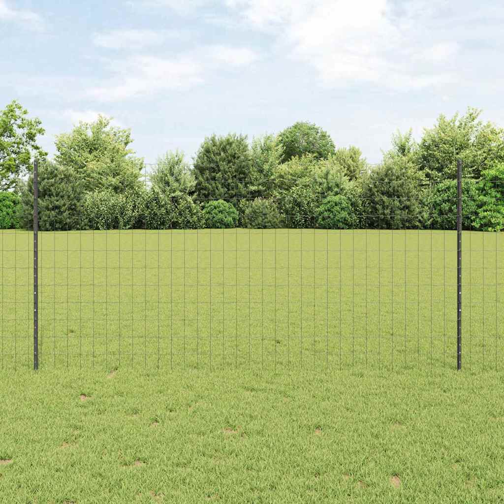 Eurohegn med stolpe 10 x 1,2 m PVC-belagt stål Grå Mesh