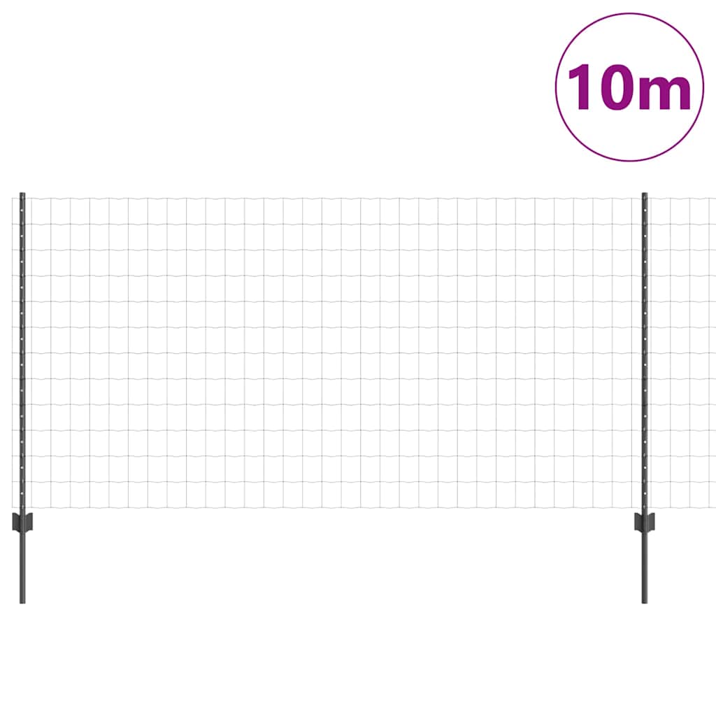 Eurohegn med stolpe 10 x 1,2 m PVC-belagt stål Grå Mesh