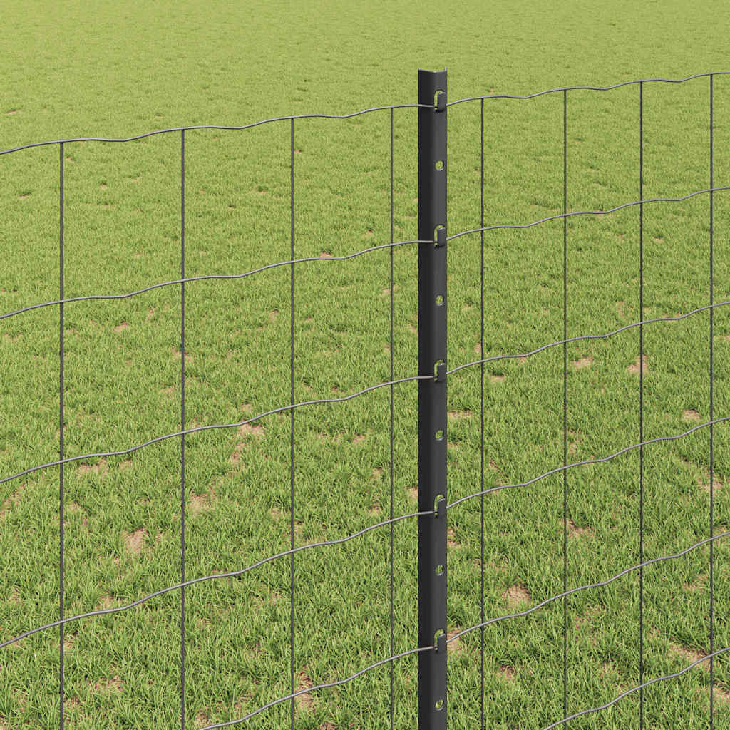 Eurohegn med stolpe 10 x 1,4 m PVC-belagt stål Grå Mesh