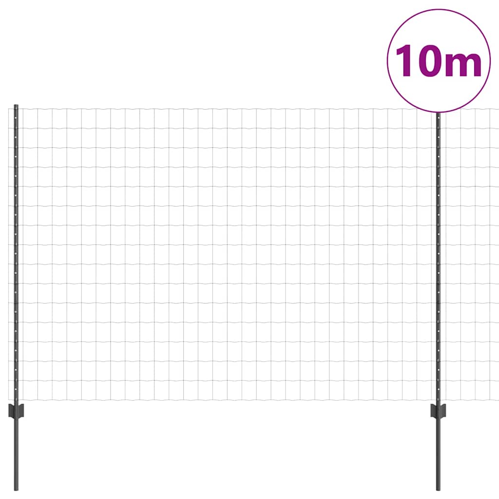 Eurohegn med stolpe 10 x 1,5 m PVC-belagt stål Grå Mesh