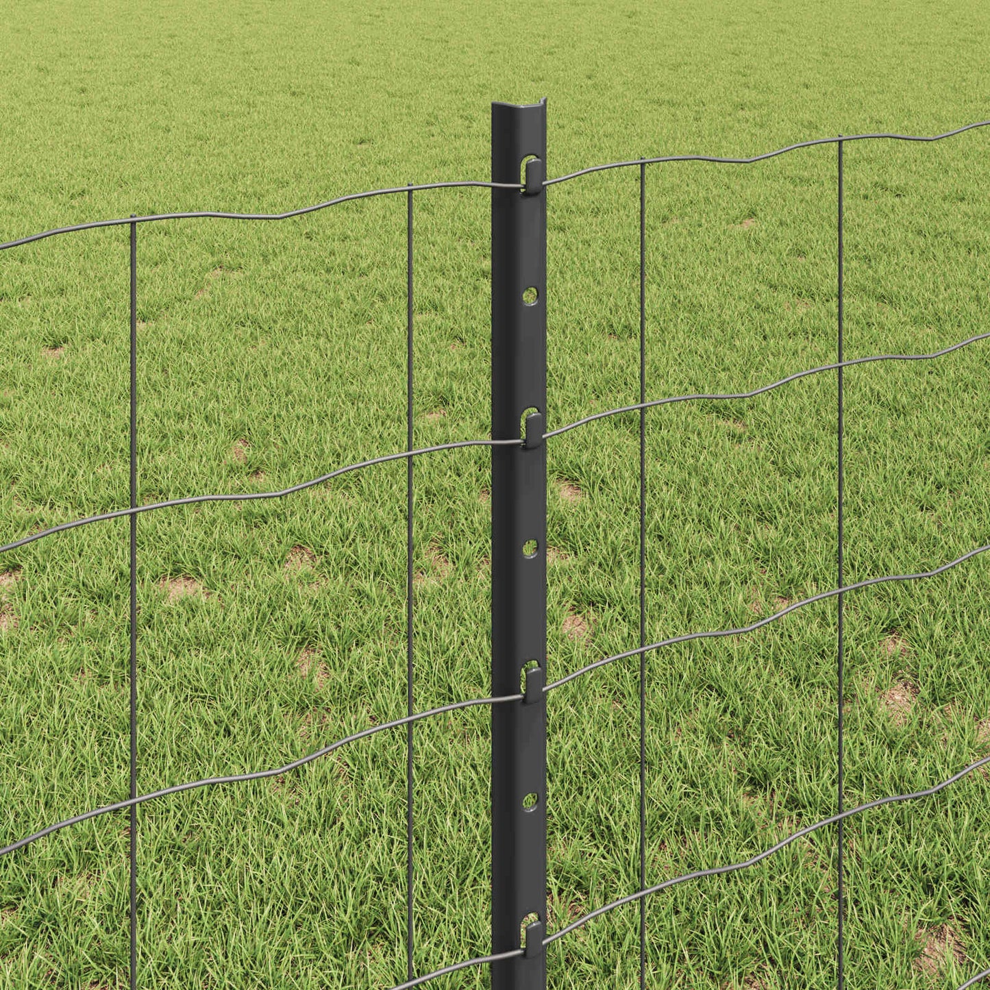 Eurohegn med stolpe 10 x 0,8 m PVC-belagt stål Grå Mesh