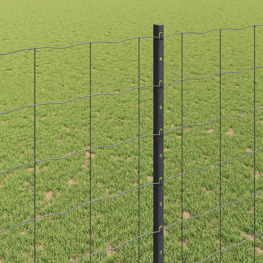 Eurohegn med stolpe 10 x 1,4 m PVC-belagt stål Grå Mesh