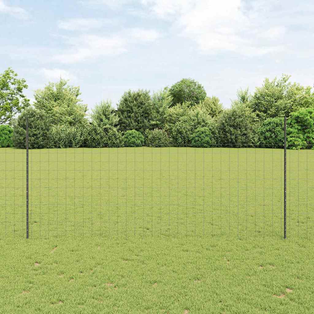 Eurohegn med stolpe 10 x 1,4 m PVC-belagt stål Grå Mesh