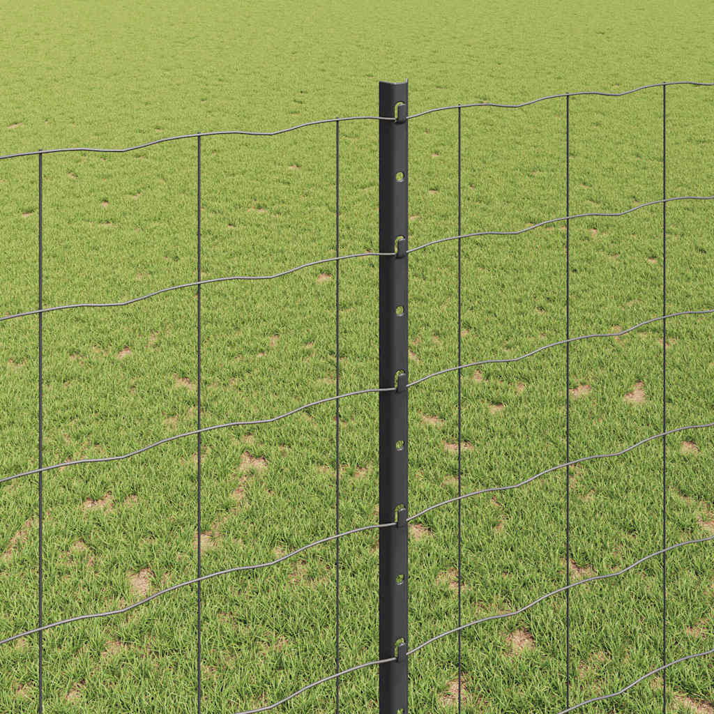 Eurohegn med stolpe 10 x 1,6 m PVC-belagt stål Grå Mesh