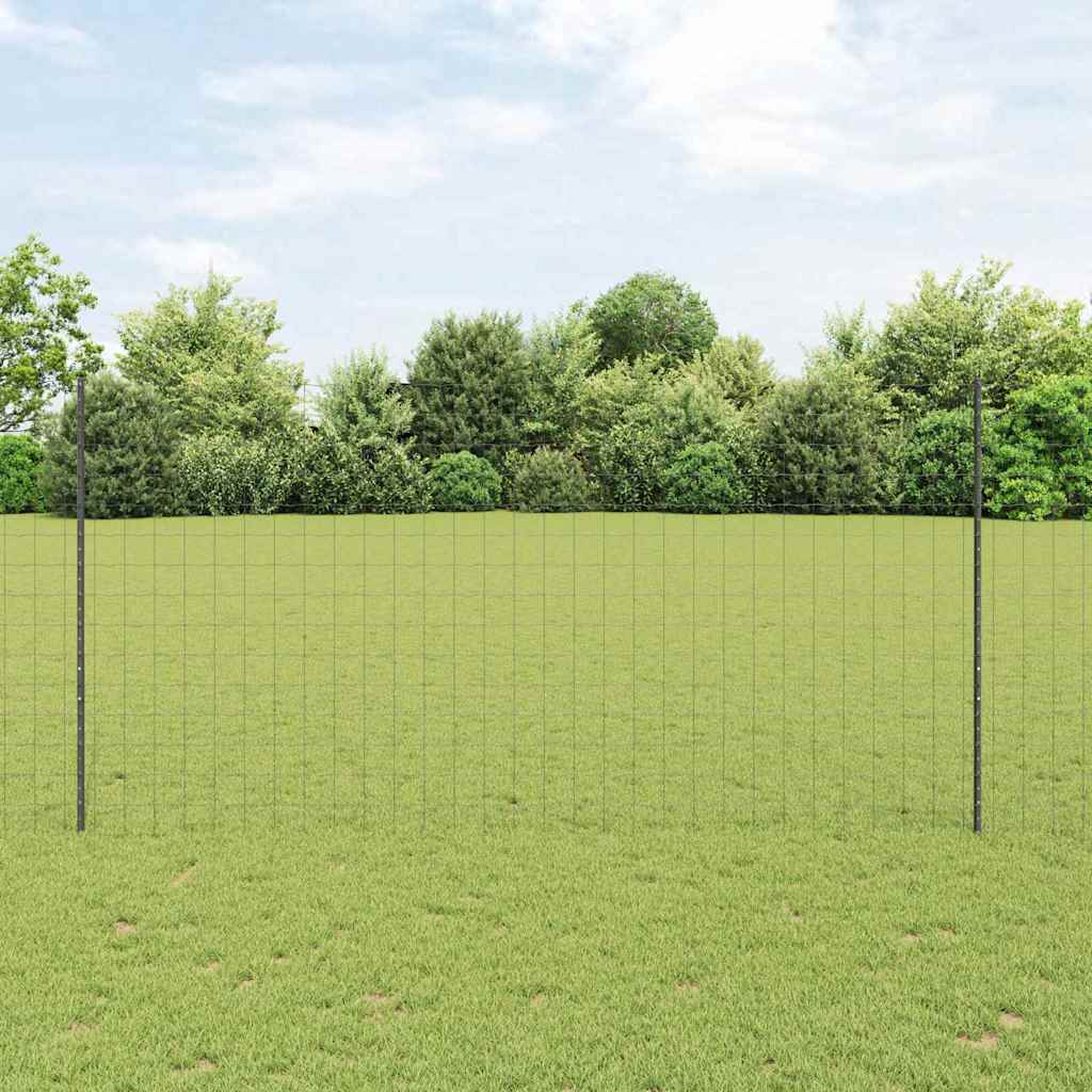 Eurohegn med stolpe 10 x 1,6 m PVC-belagt stål Grå Mesh