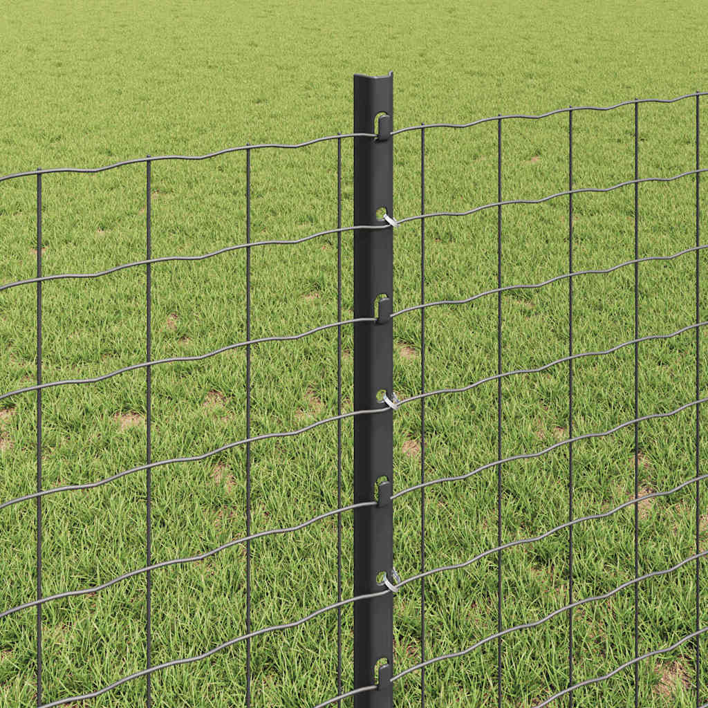 Eurohegn med stolpe 25 x 0,8 m PVC-belagt stål Grå Mesh